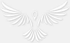 Open Arms angelic logo